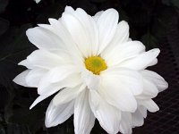 photos 2000-200902625